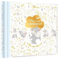 Disney Mon Livre De Naissance